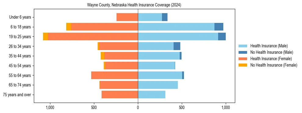 Health insurance pyramid for Wayne County, Nebraska