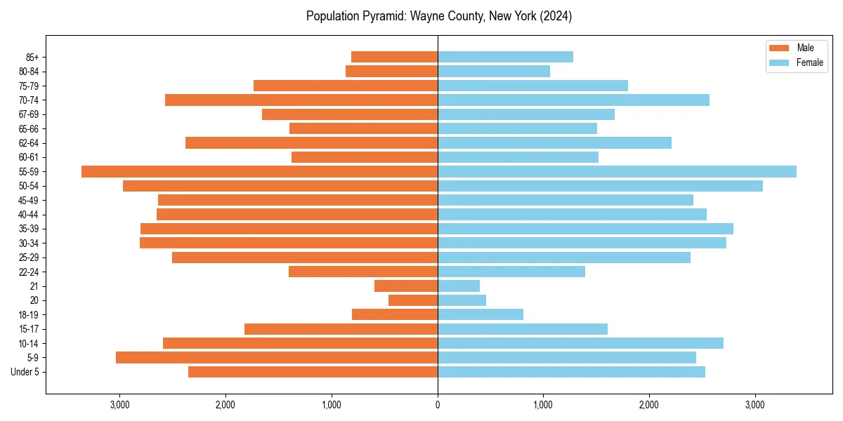 Population pyramid for 