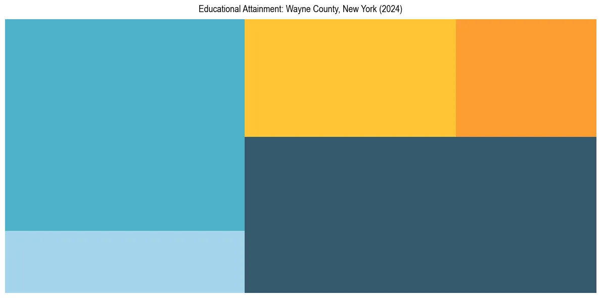 Education Treemap for  in 2024