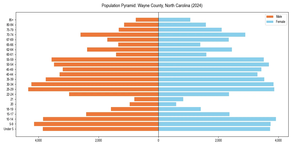 Population pyramid for 