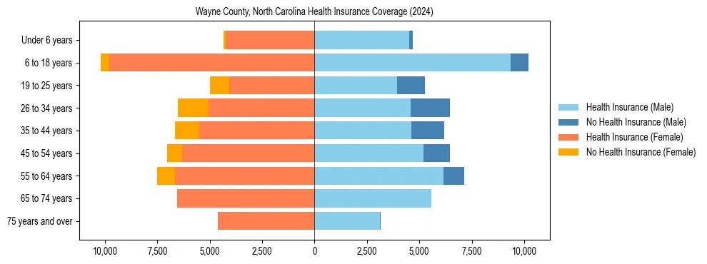 Health insurance pyramid for Wayne County, North Carolina