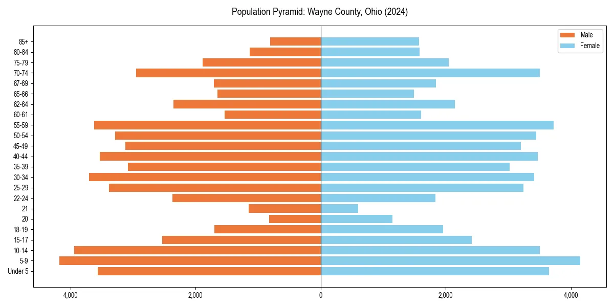 Population pyramid for 
