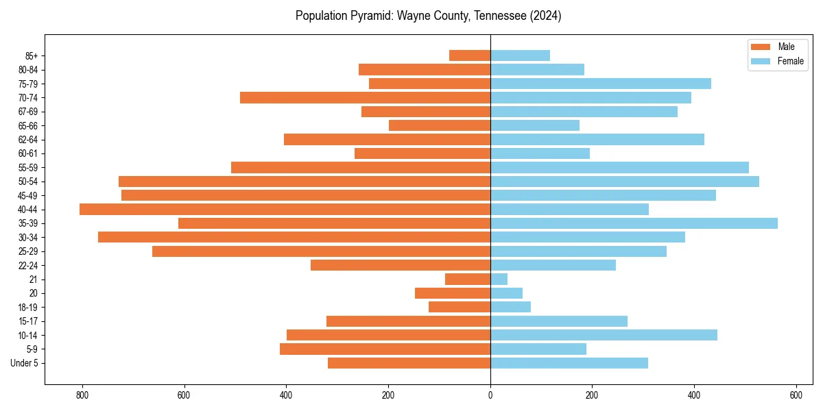 Population pyramid for 