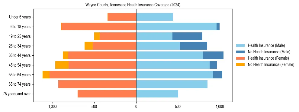 Health insurance pyramid for Wayne County, Tennessee
