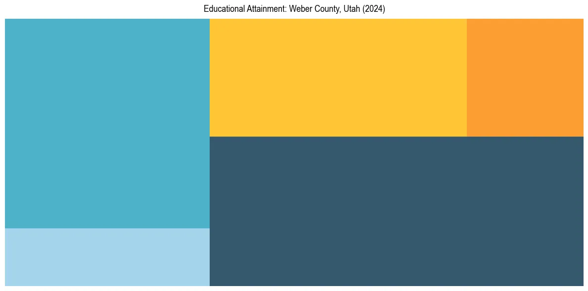 Education Treemap for  in 2024