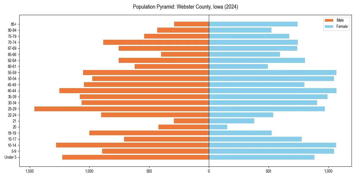 Population pyramid for 