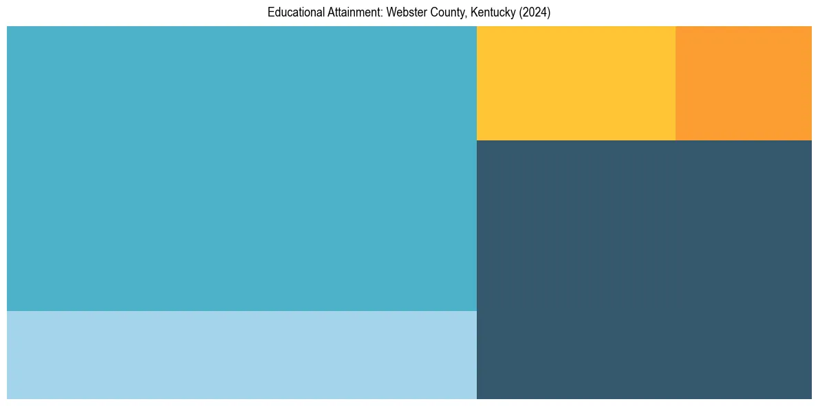 Education Treemap for  in 2024