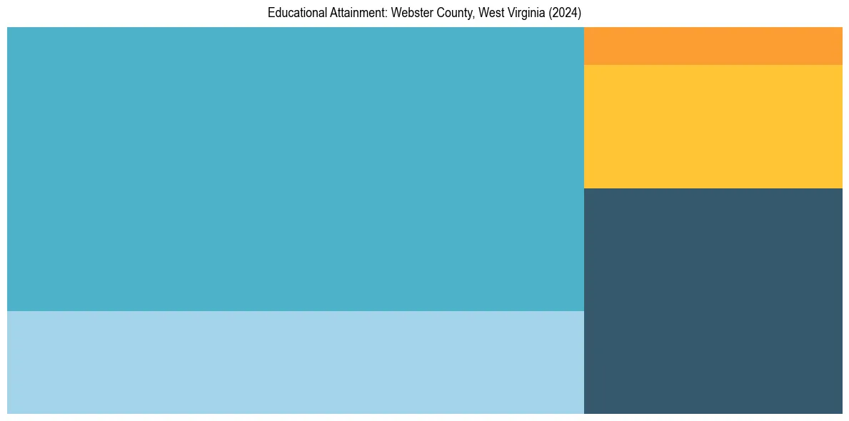 Education Treemap for  in 2024