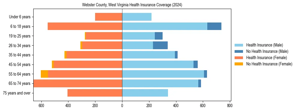 Health insurance pyramid for Webster County, West Virginia