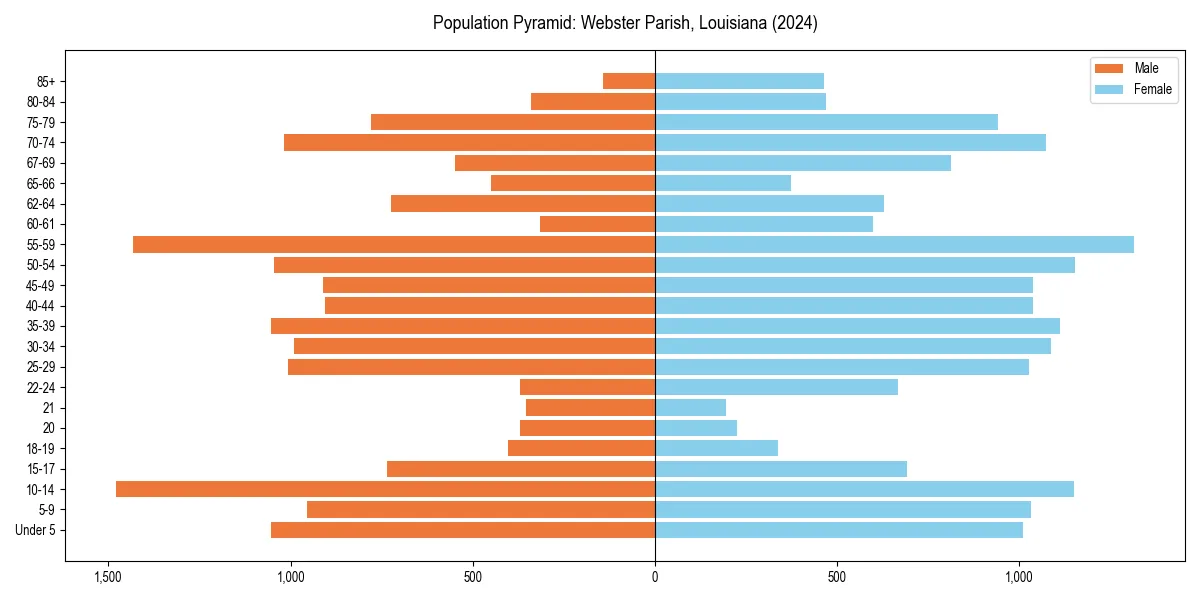 Population pyramid for 