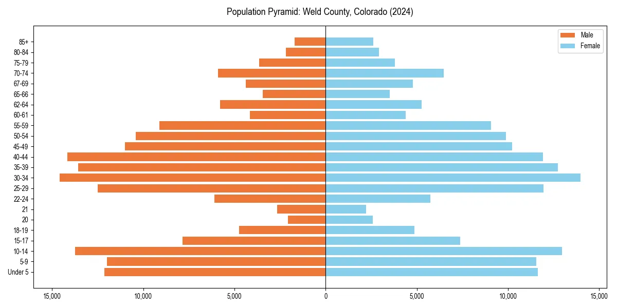 Population pyramid for 