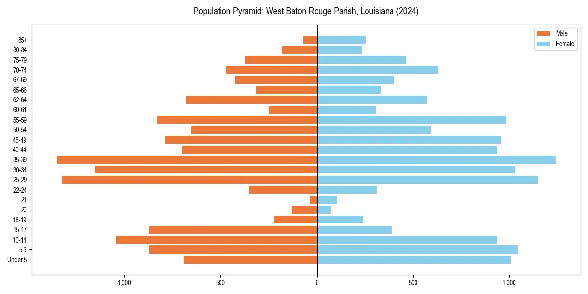 Population pyramid for 