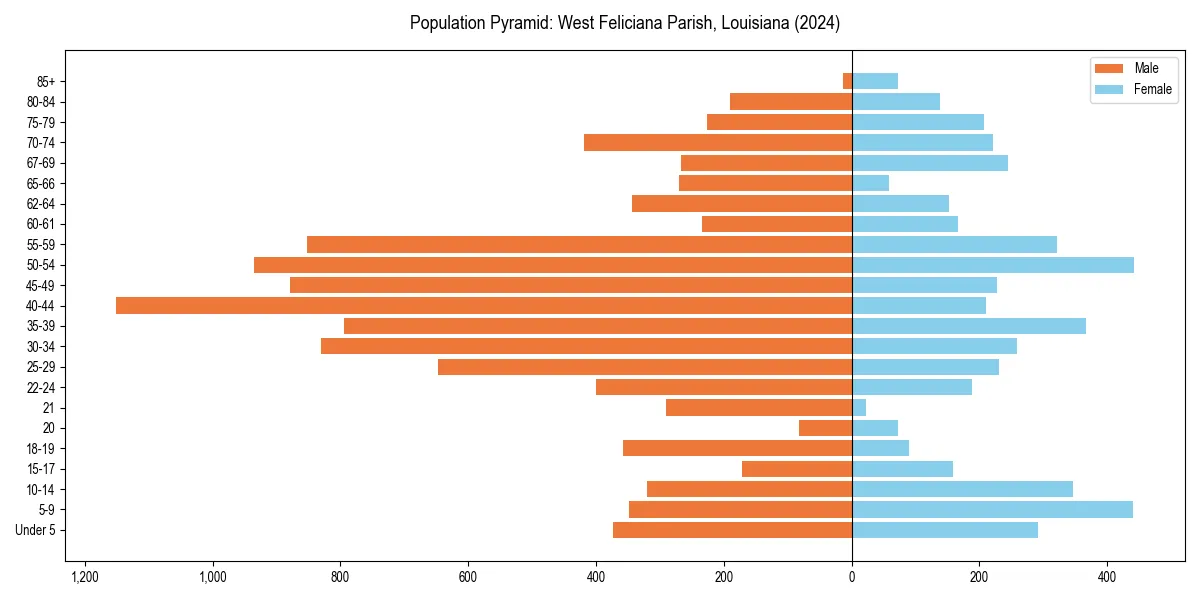 Population pyramid for 