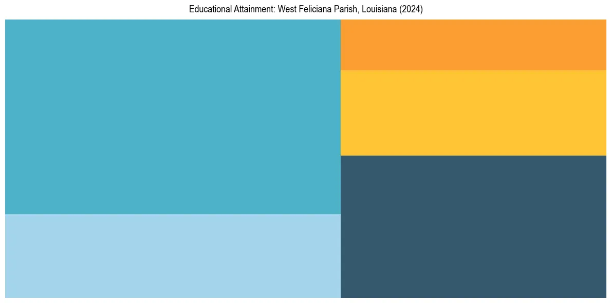 Education Treemap for  in 2024