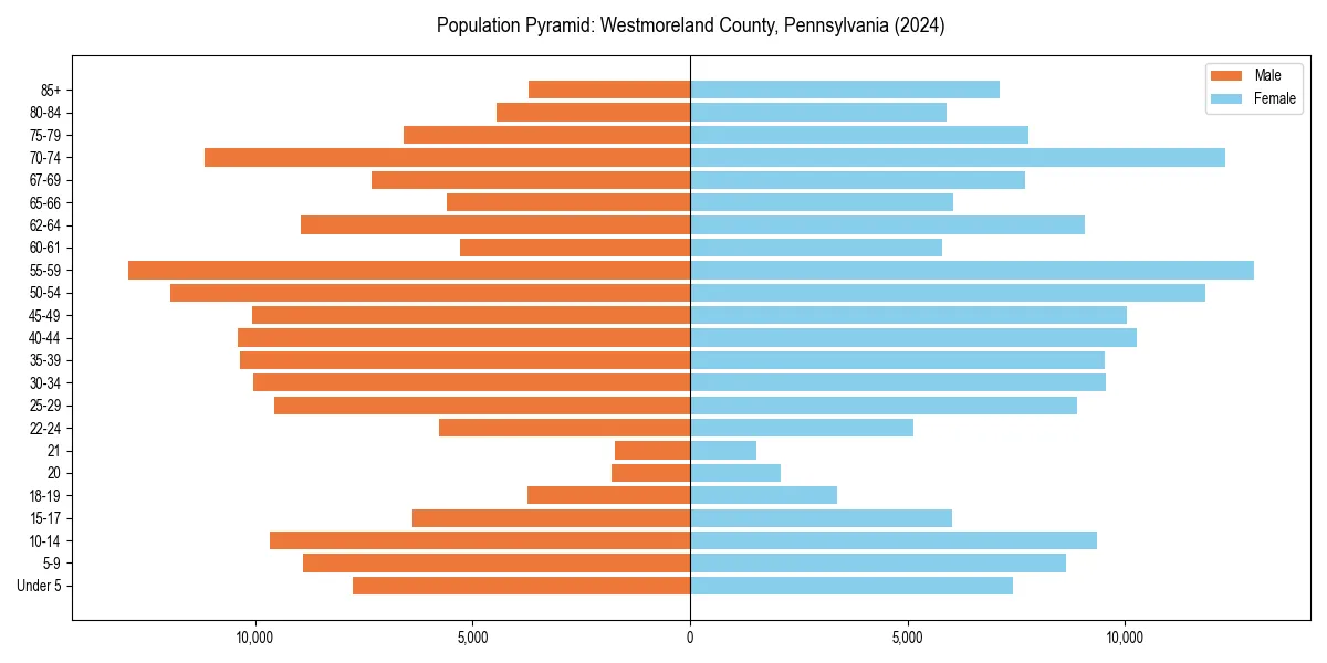 Population pyramid for 