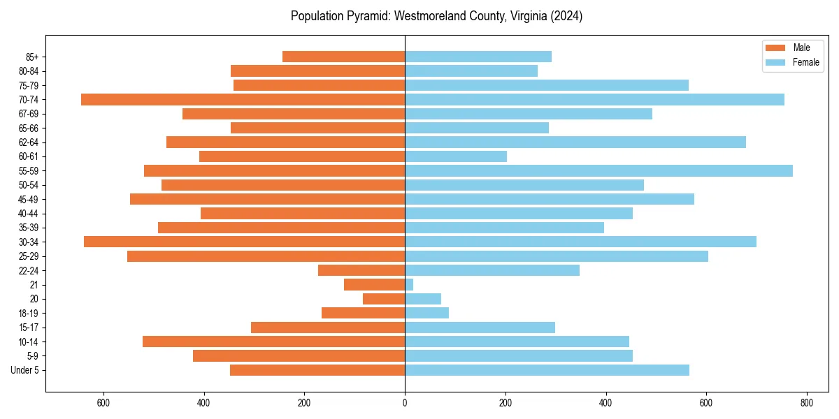 Population pyramid for 