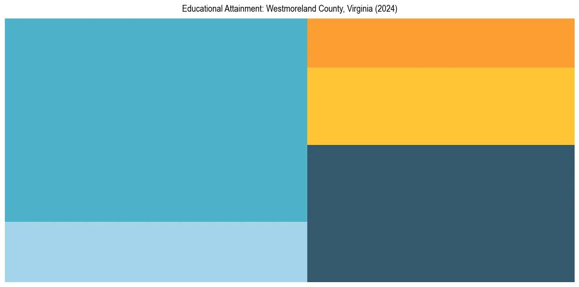 Education Treemap for  in 2024