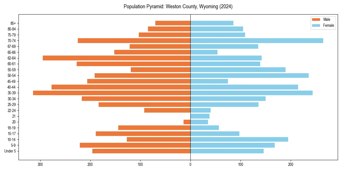 Population pyramid for 