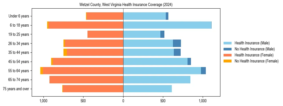 Health insurance pyramid for Wetzel County, West Virginia