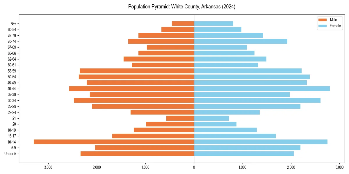 Population pyramid for 