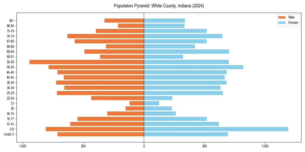 Population pyramid for 