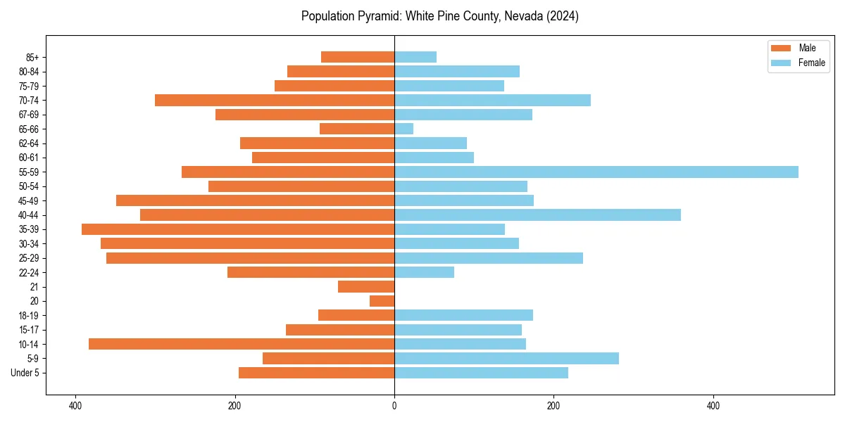 Population pyramid for 