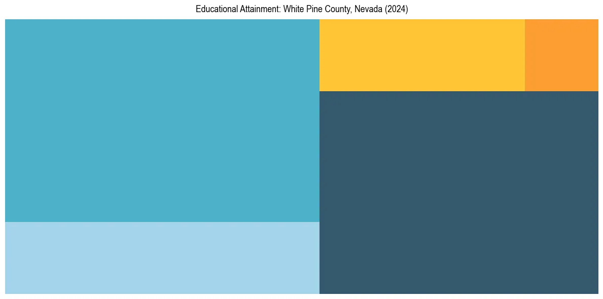 Education Treemap for  in 2024