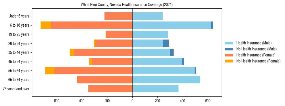 Health insurance pyramid for White Pine County, Nevada