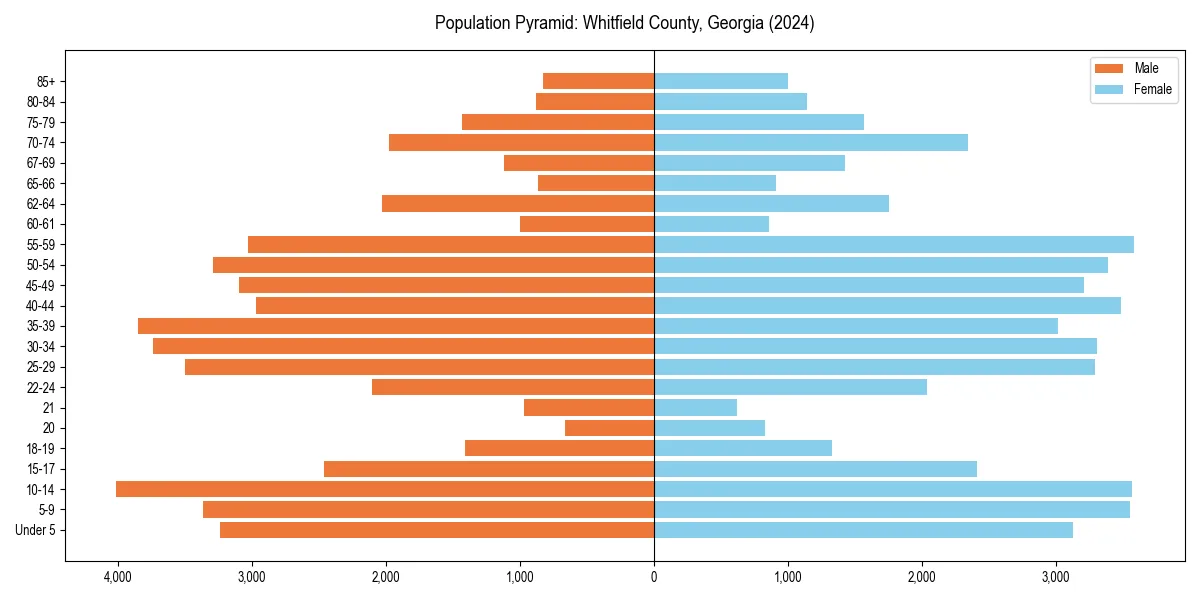 Population pyramid for 