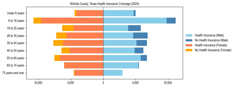 Health insurance pyramid for Wichita County, Texas