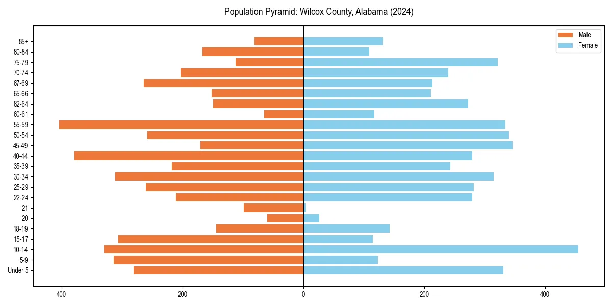 Population pyramid for 