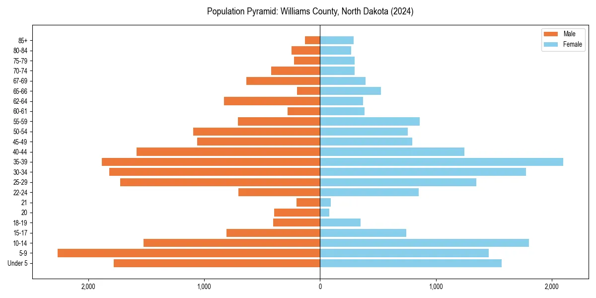 Population pyramid for 