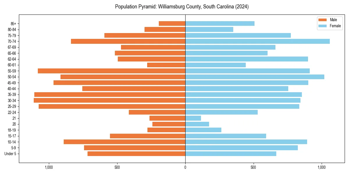 Population pyramid for 
