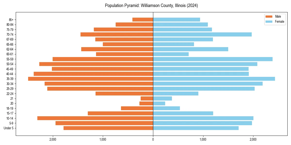 Population pyramid for 