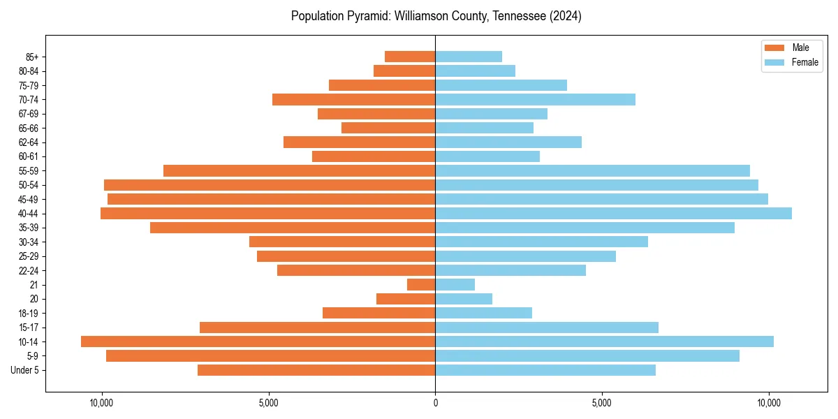 Population pyramid for 