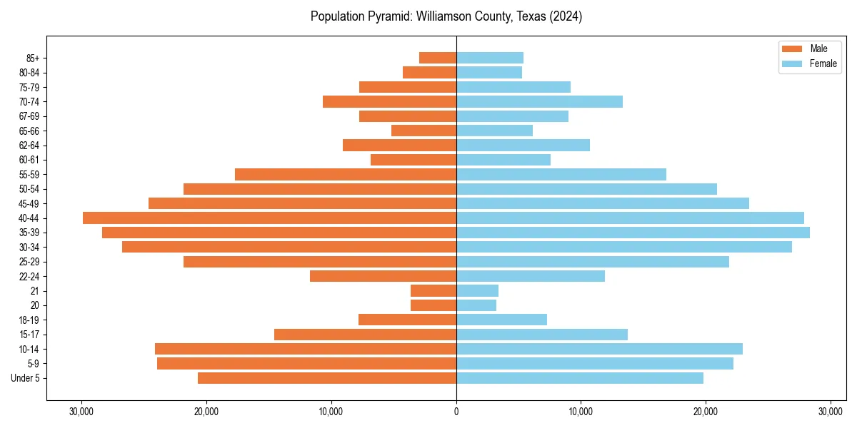 Population pyramid for 