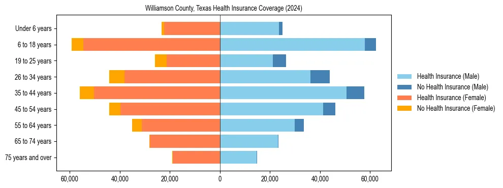 Health insurance pyramid for Williamson County, Texas