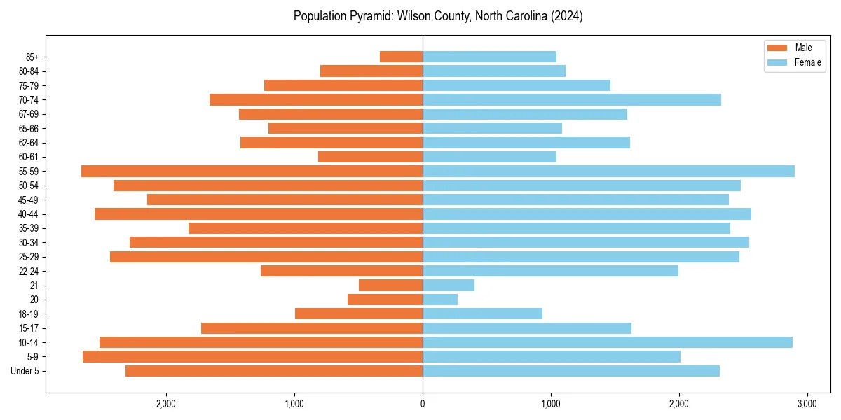 Population pyramid for 