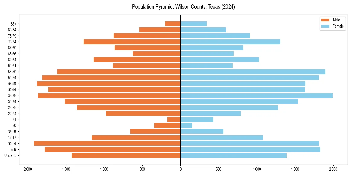 Population pyramid for 