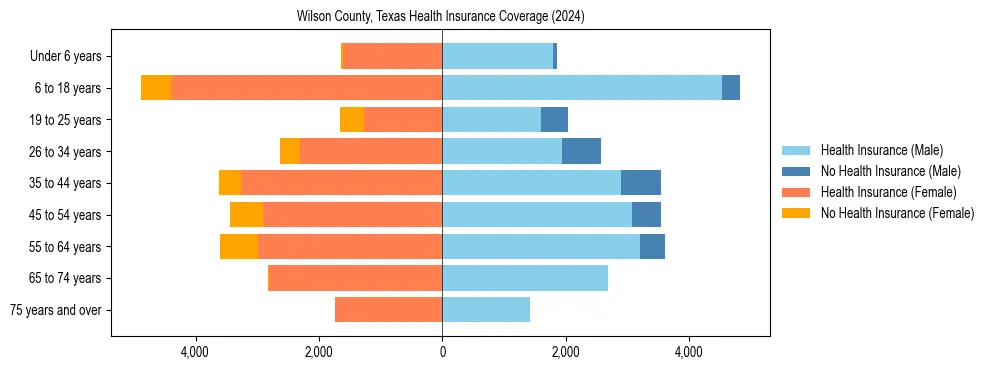 Health insurance pyramid for Wilson County, Texas
