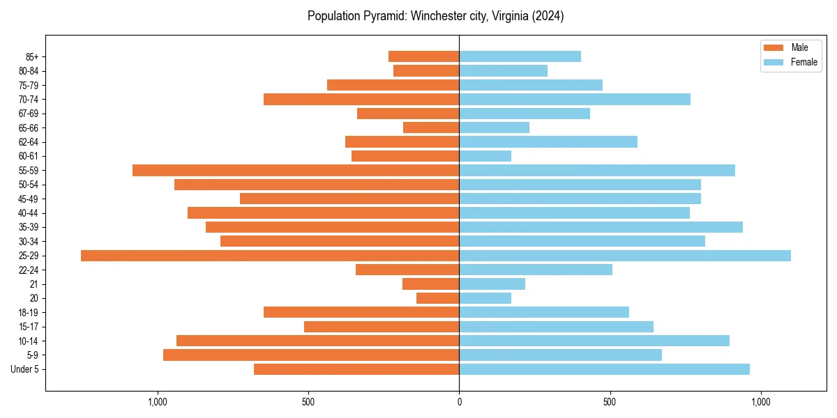 Population pyramid for 