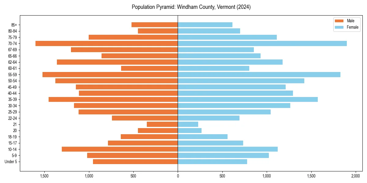 Population pyramid for 