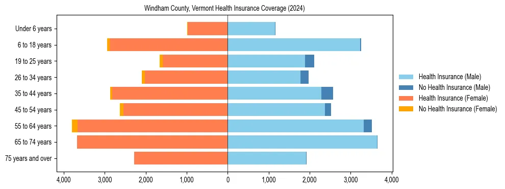 Health insurance pyramid for Windham County, Vermont
