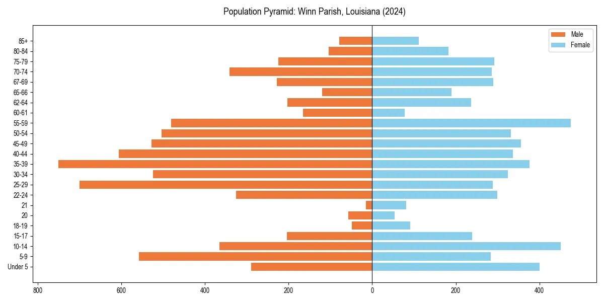 Population pyramid for 