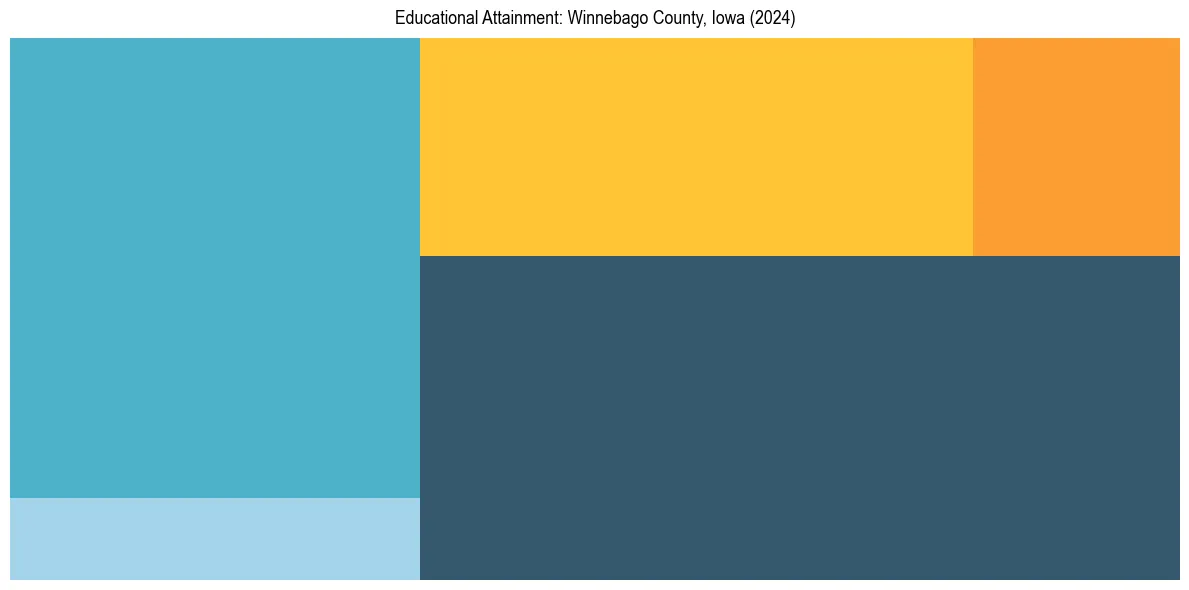 Education Treemap for  in 2024
