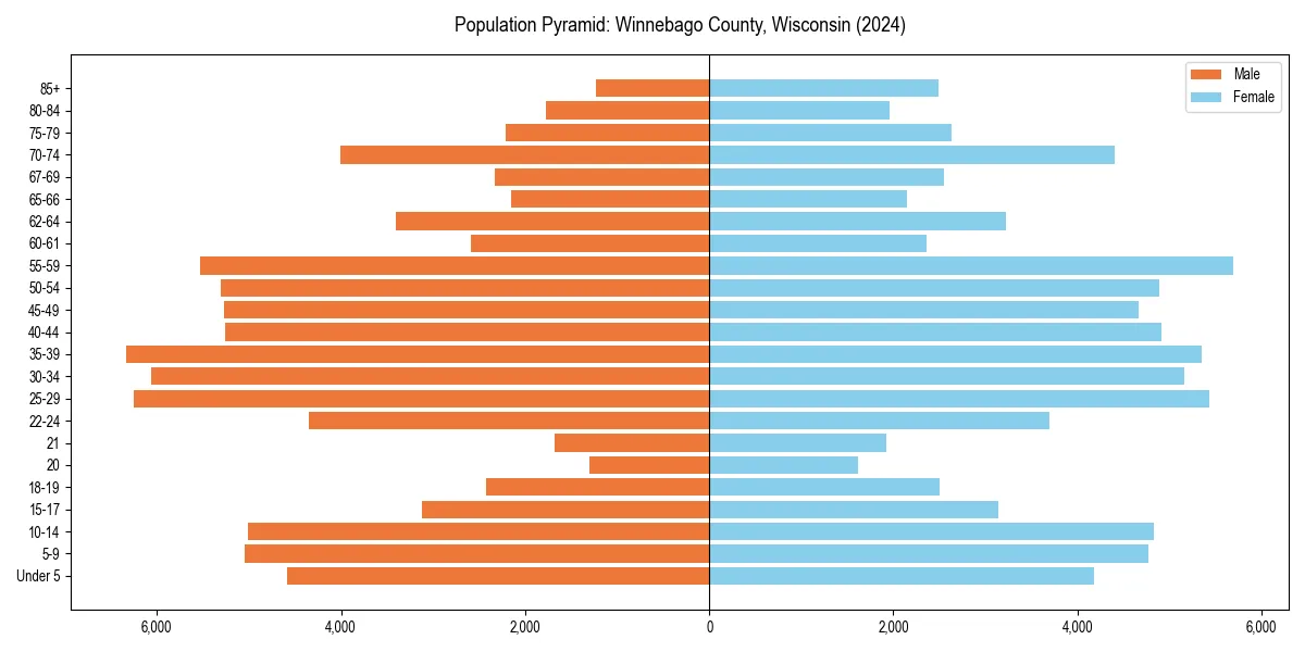 Population pyramid for 