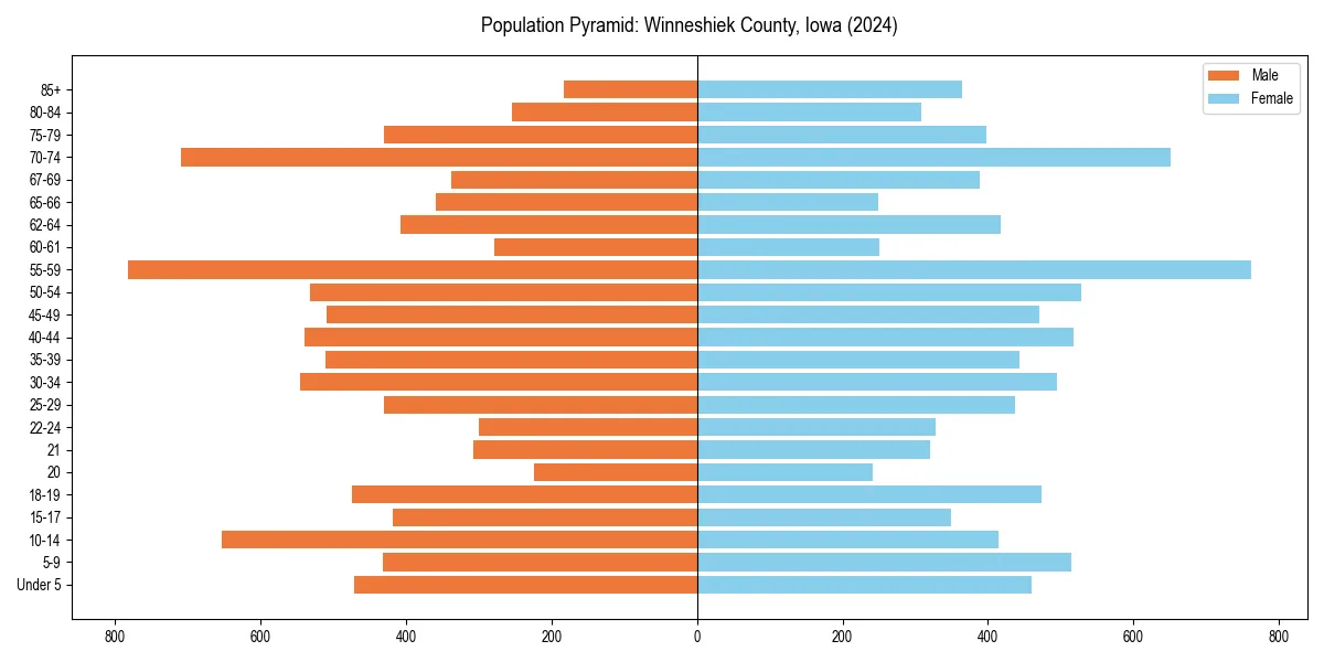 Population pyramid for 