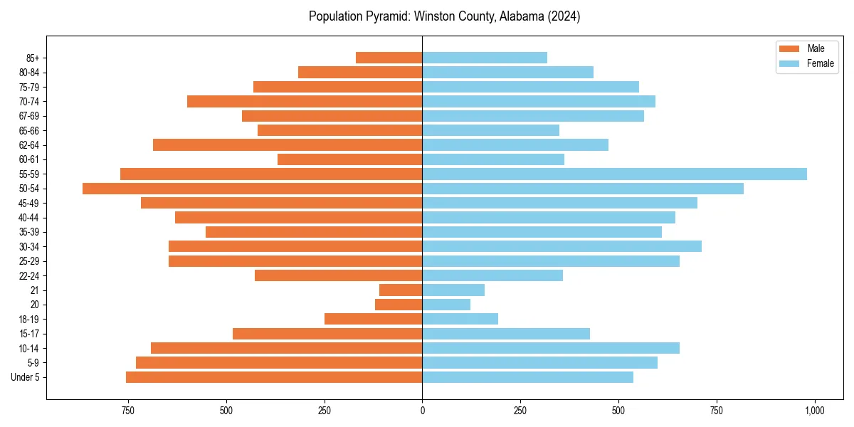 Population pyramid for 