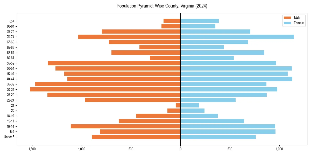 Population pyramid for 