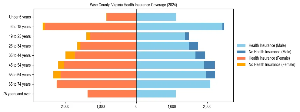 Health insurance pyramid for Wise County, Virginia
